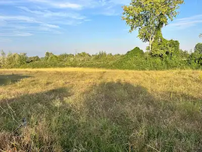 KARTEPE ARSLANBEY DE 400 M VİLLA ARSASI