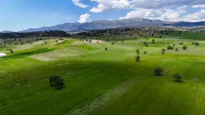 ÇALTILAR KÖYÜ YAKININDA ALTYAPISI HAZIR 4.030 M² MÜSTAKIL TAPULU