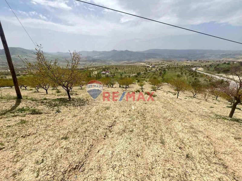 AKÇADAĞ KEPEZ DE SATILIK 24.350 M2 EKİLİ TARLA