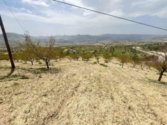 AKÇADAĞ KEPEZ DE SATILIK 24.350 M2 EKİLİ TARLA