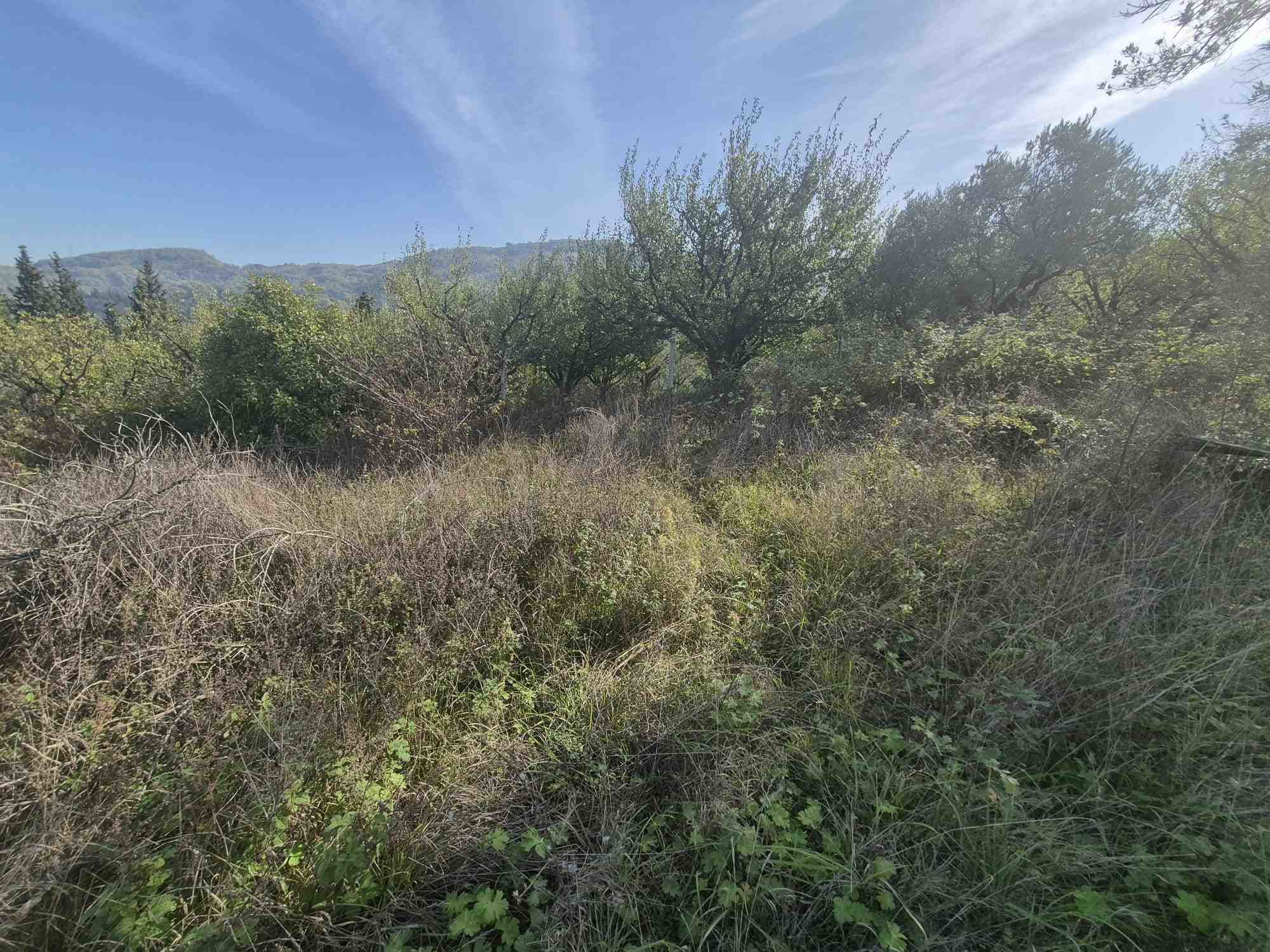 REMAX ÇARŞIDAN KARAMÜRSEL’DE DENIZ MANZARALI YATIRIM FIRSATI!