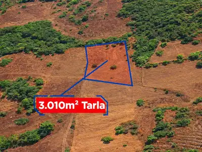 RE/MAX İNCİ'DEN KEPSUT KÜÇÜKKATRANCI MAH. 3.010 M2 SATILIK TARLA 