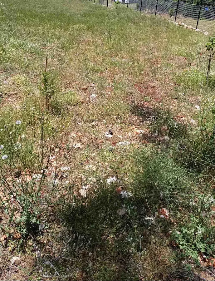 BURDUR İLYAS KÖYÜNDE KÖYIÇI IMARLI 747 M2 SATILIK PARSEL