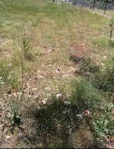 BURDUR İLYAS KÖYÜNDE KÖYIÇI IMARLI 747 M2 SATILIK PARSEL