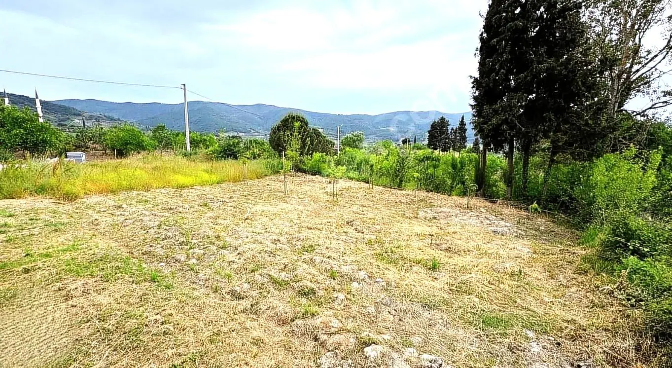 Property image 18