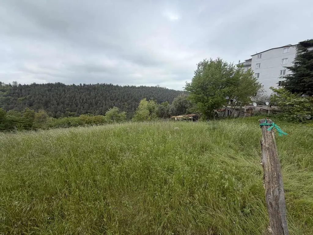 Property image 18