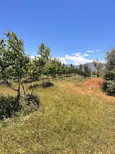 DOĞA VE YATIRIMI BİR ARADA SUNAN CEVİZ BAHÇESİ
