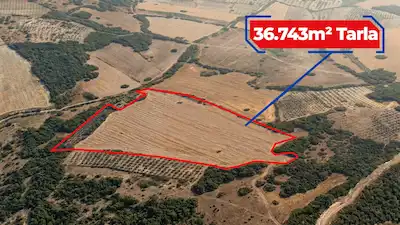 RE/MAX İNCİ'DEN BALIKESİR SAVAŞTEPE CUMHURİYET MAH’DE MÜSTAKİL 4 PARSEL SATILIK TARLA