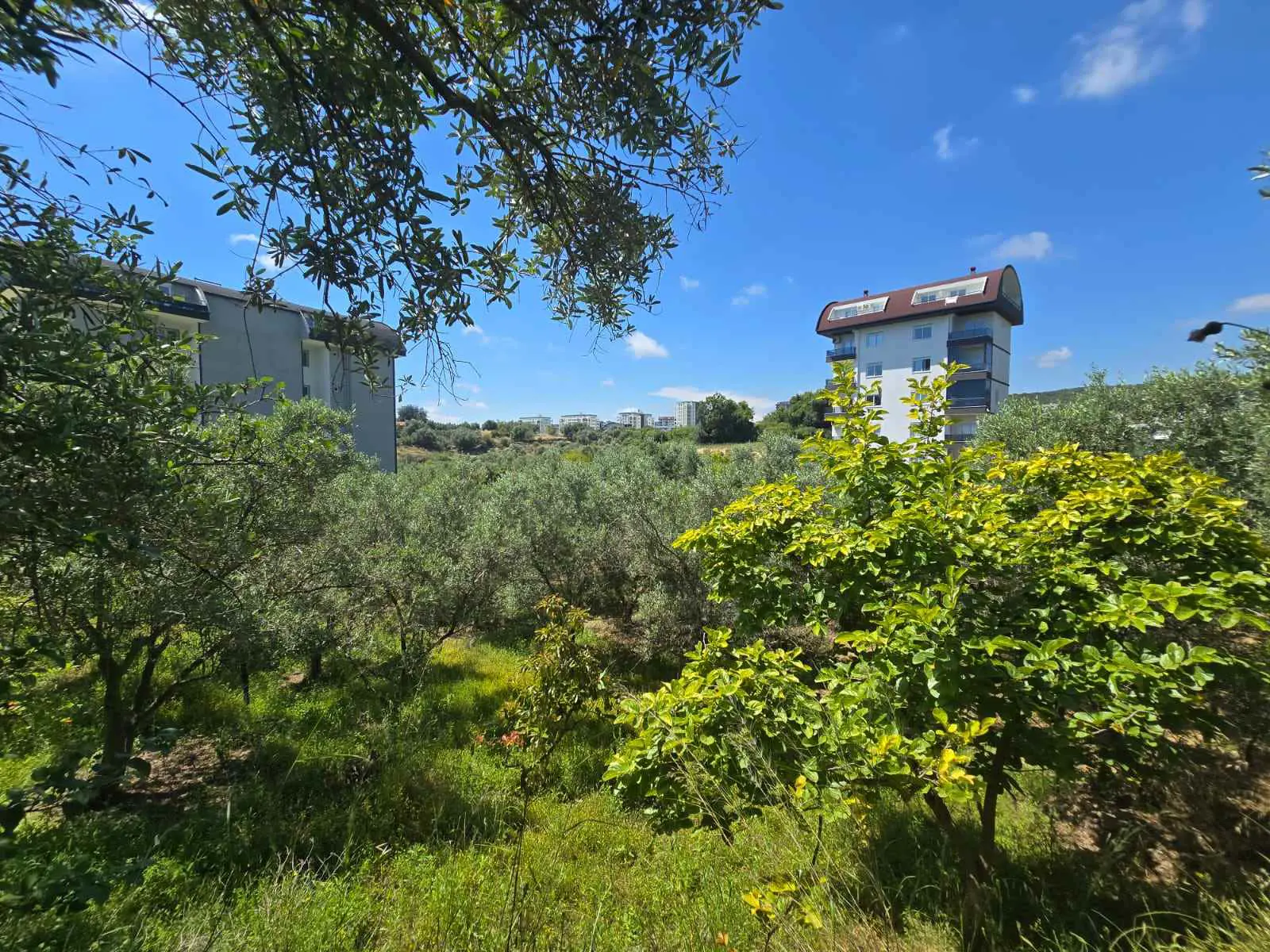 Property image 24