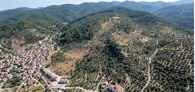 BALIKESİR HAVRAN BÜYÜKDERE’DE SATILIK MÜSTAKİL PARSEL 2148 M2 ZEYTİNLİK