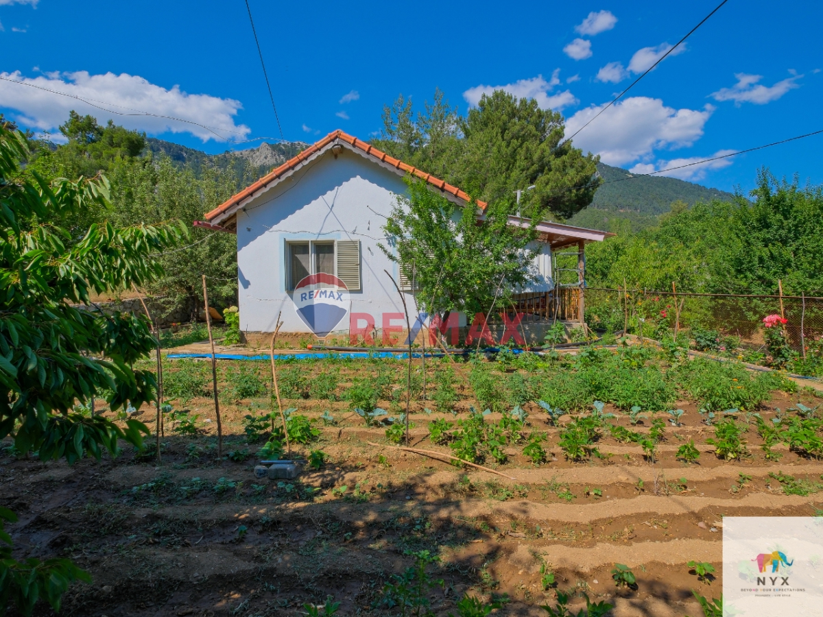 🏡 FETHIYE YAYLA KORU’DA MÜSTAKIL BAHÇELI, EŞYALI SATILIK EV VE TARLA
