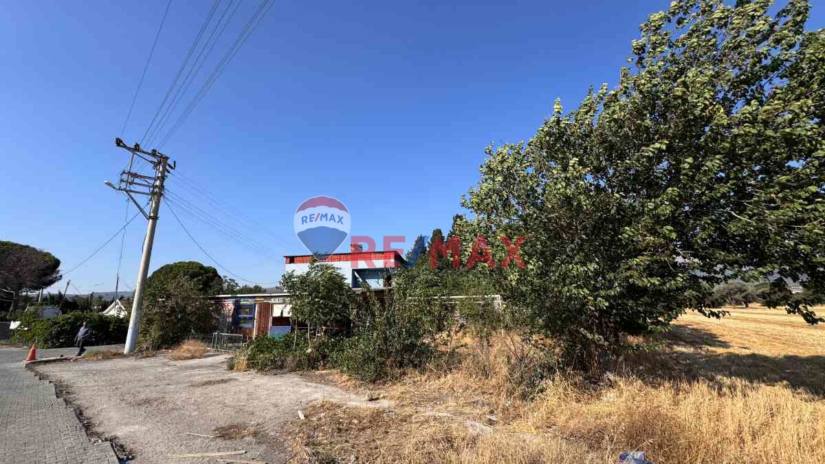 ALİAĞA B.HAYRETTİN PAŞA MH.Sİ, İÇİNDE 6+1 EV OLAN 3 ADET TARLA