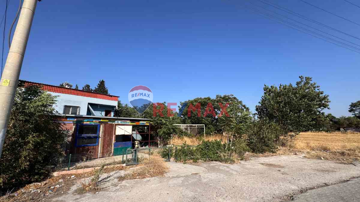 ALİAĞA B.HAYRETTİN PAŞA MH.Sİ, İÇİNDE 6+1 EV OLAN 3 ADET TARLA