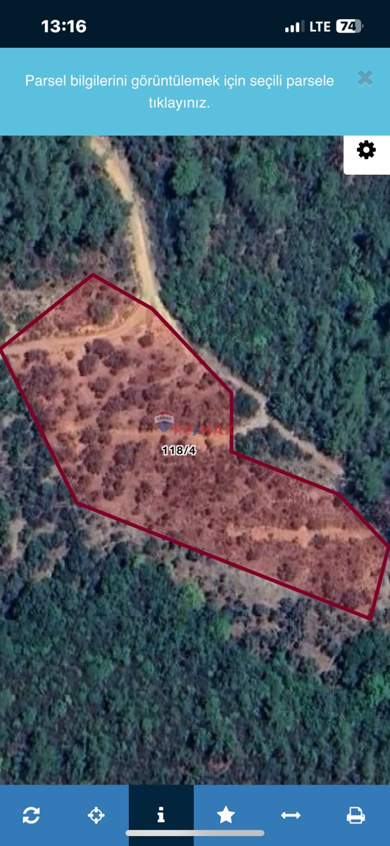 BAYINDIR KABAAĞAÇ SATILIK ZEYTİNLİK