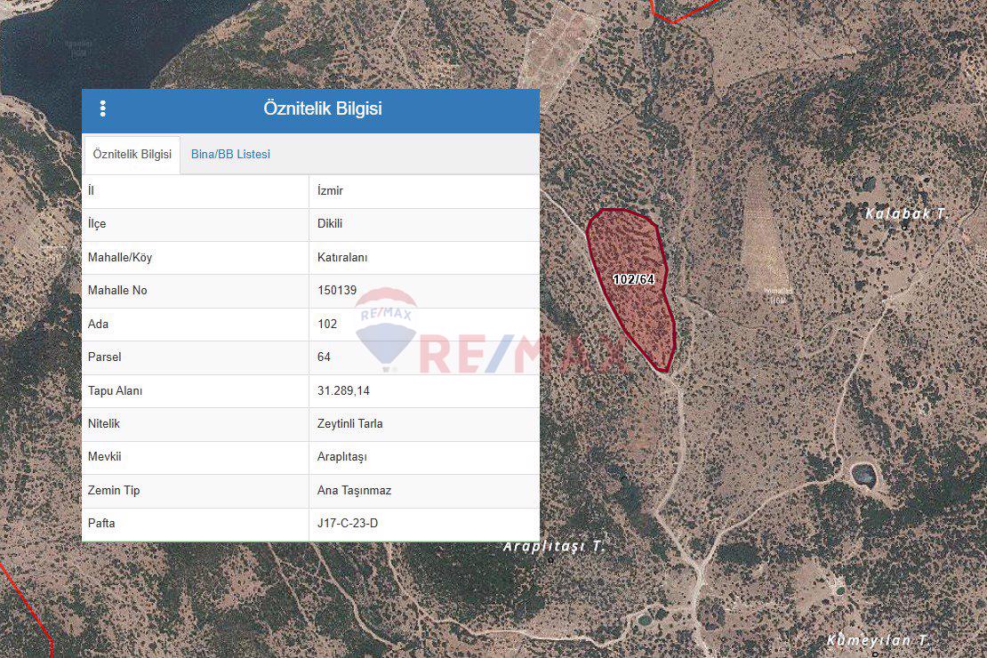 DIKILI KATIRALANI KÖYÜ'NDE ZEYTINLI TARLA-YATIRIMCILAR IÇIN YÜKSEK POTANSIYEL VE ULAŞIM KOLAYLIĞI