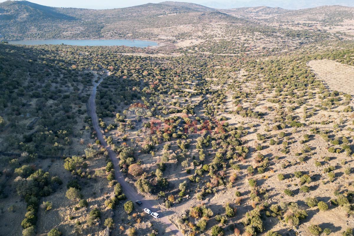 DIKILI KATIRALANI KÖYÜ'NDE ZEYTINLI TARLA-YATIRIMCILAR IÇIN YÜKSEK POTANSIYEL VE ULAŞIM KOLAYLIĞI