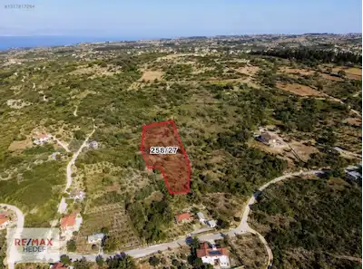 ŞARKÖY KİRAZLIDA TAPULU BAĞ | DOĞA + YATIRIM FIRSATI