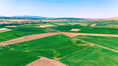 REMAX HÜR'DEN KÜTAHYA'DA TOKİ PROJESİNE YAKIN SATILIK TARLA