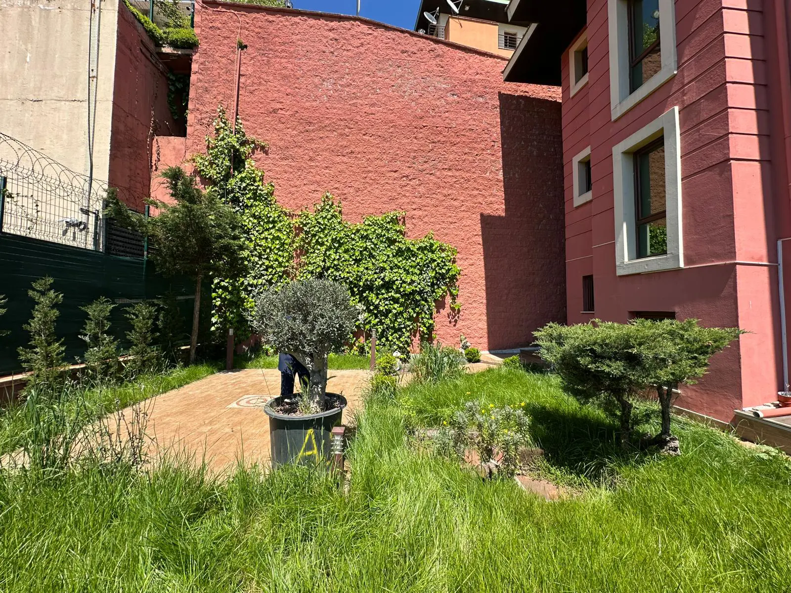 Property image 53