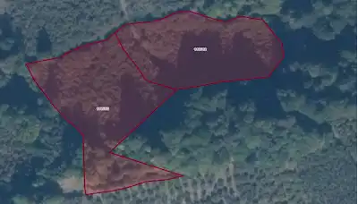 REMAX DIADAN DÜZCE ÇINARDÜZÜ KÖYÜ'NDE SATILIK 2 PARSEL TARLA