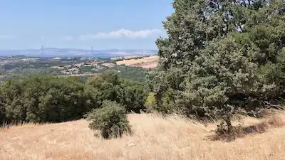 ÇANAKKALE LAPSEKI BOĞAZ MANZARALI 5.364 M2 SATILIK TARLA