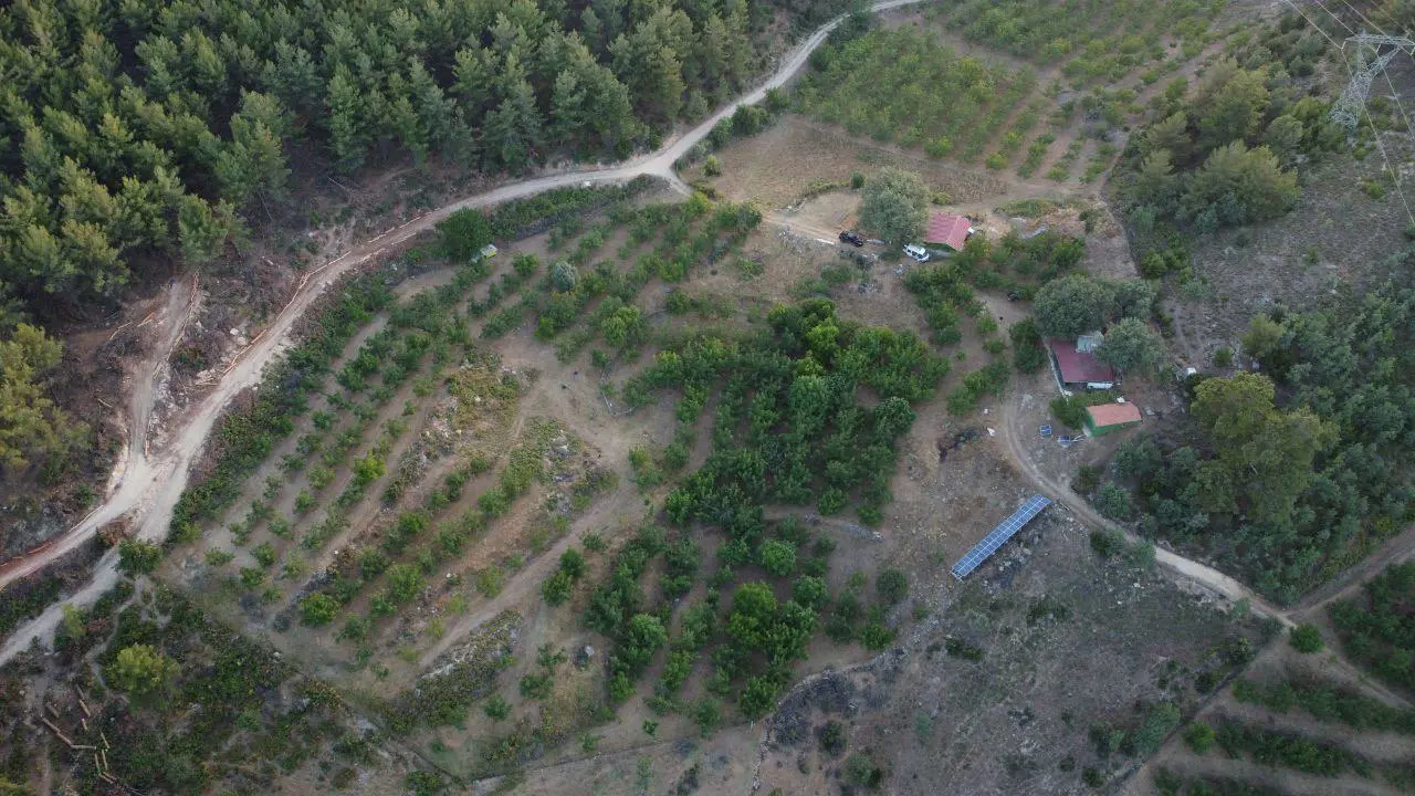 Property image 21