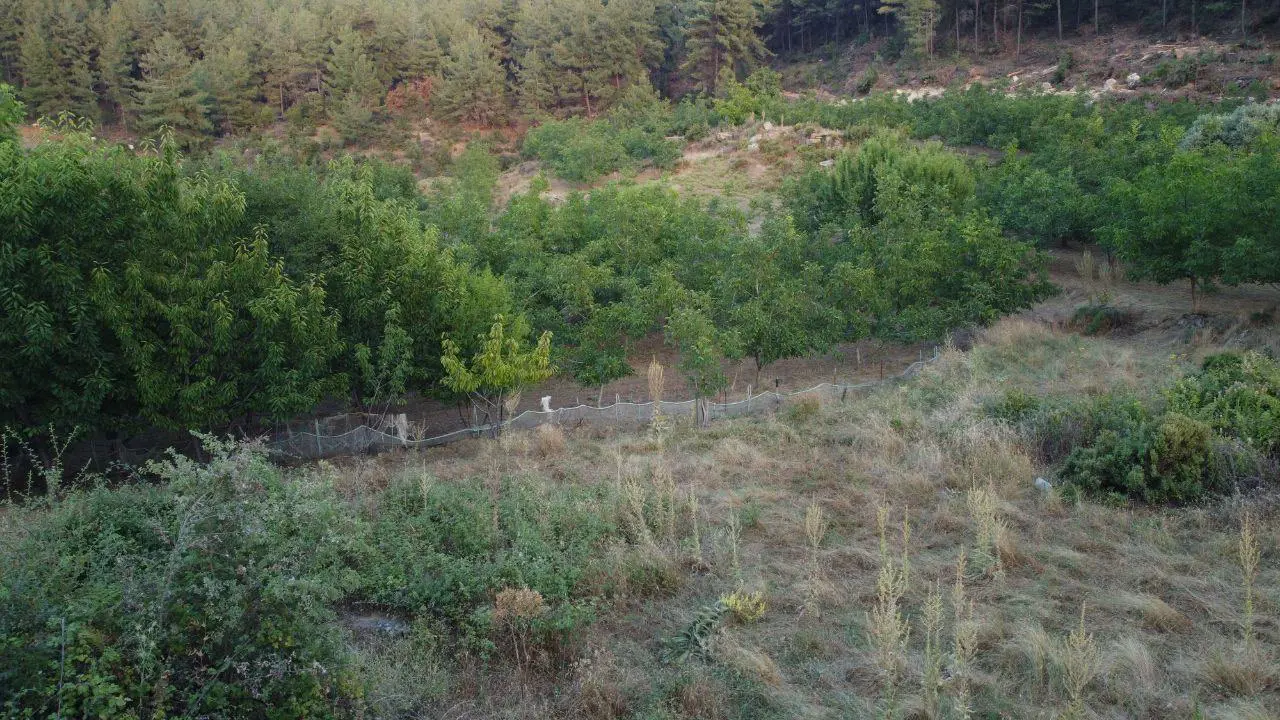 Property image 18