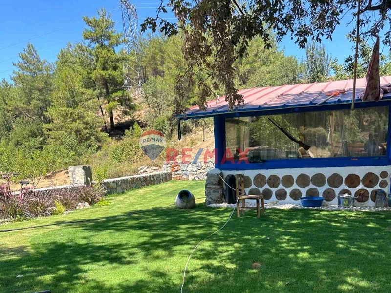 MUĞLA YATAĞAN KOZAĞAÇ 43.5 DÖNÜM CEVIZ BAHÇESI