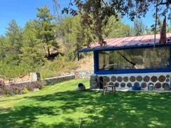 MUĞLA YATAĞAN KOZAĞAÇ 43.5 DÖNÜM CEVIZ BAHÇESI