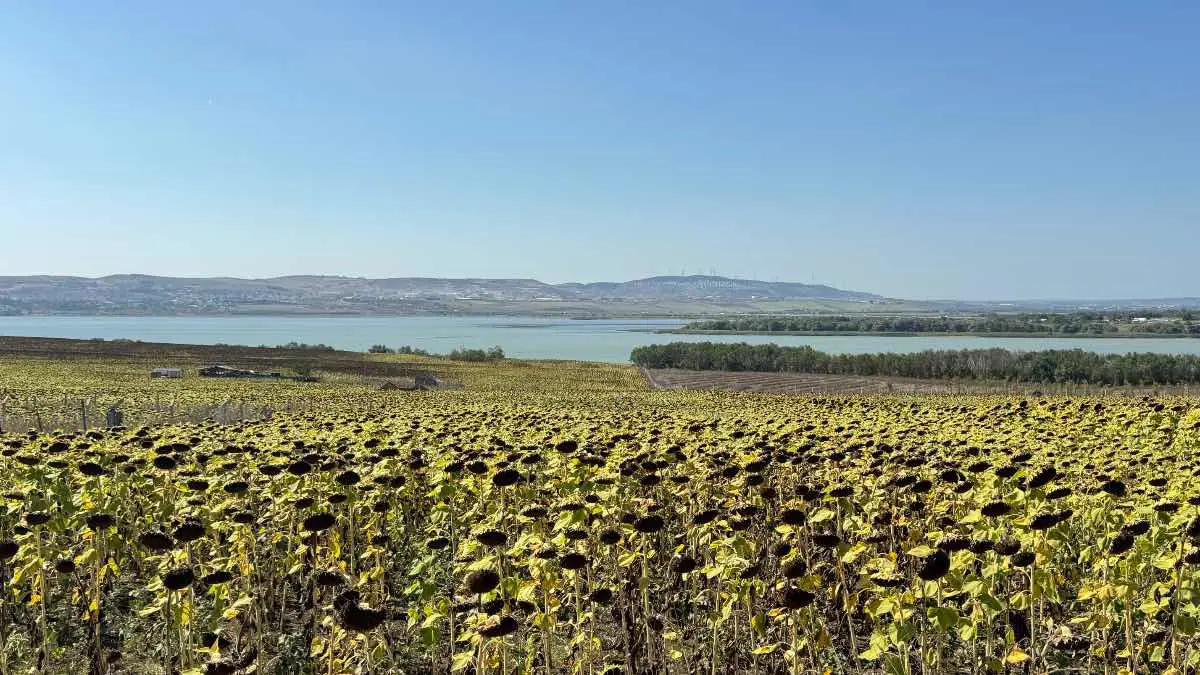 BÜYÜKÇEKMECE ESKICE’DE GÖL MANZARASIYLA ÖNE ÇIKAN 300 M² YATIRIMLIK ARSA