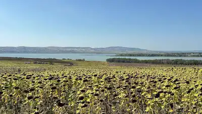 BÜYÜKÇEKMECE ESKICE’DE GÖL MANZARASIYLA ÖNE ÇIKAN 300 M² YATIRIMLIK ARSA