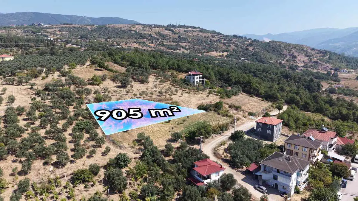 Property image 10