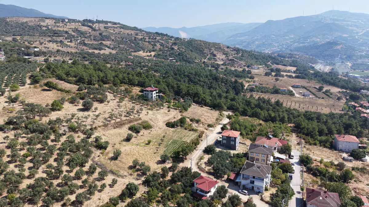 Property image 17
