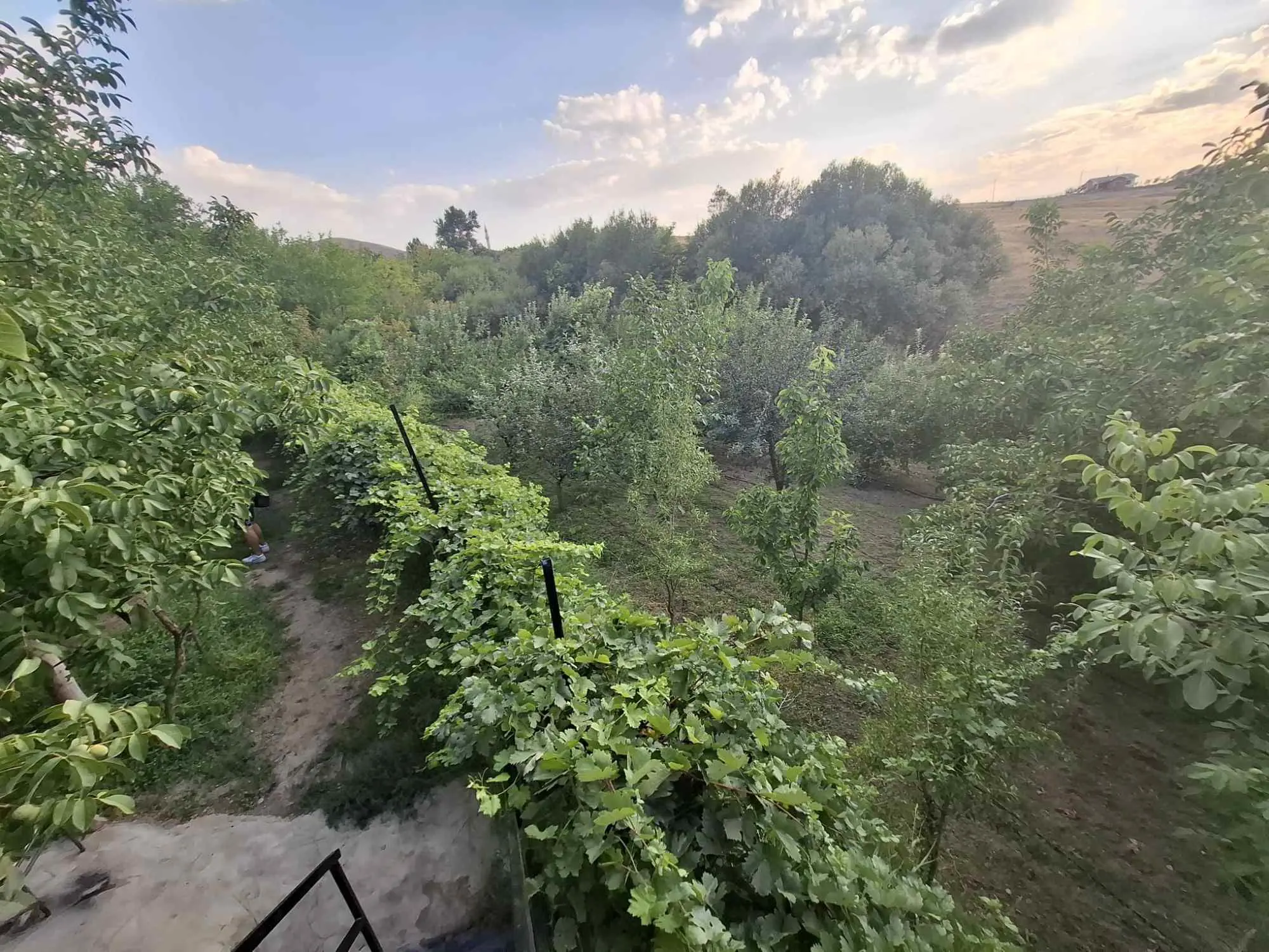 Property image 24