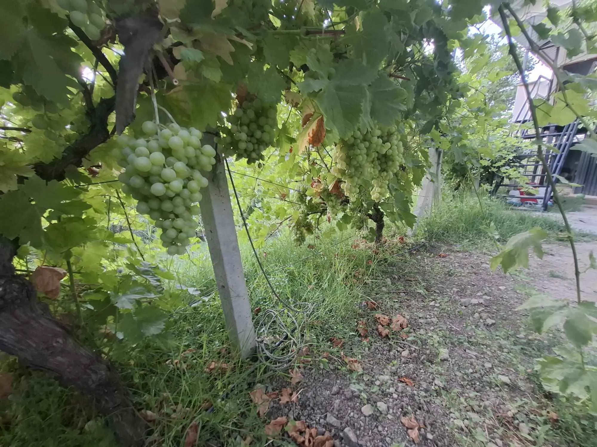 Property image 27