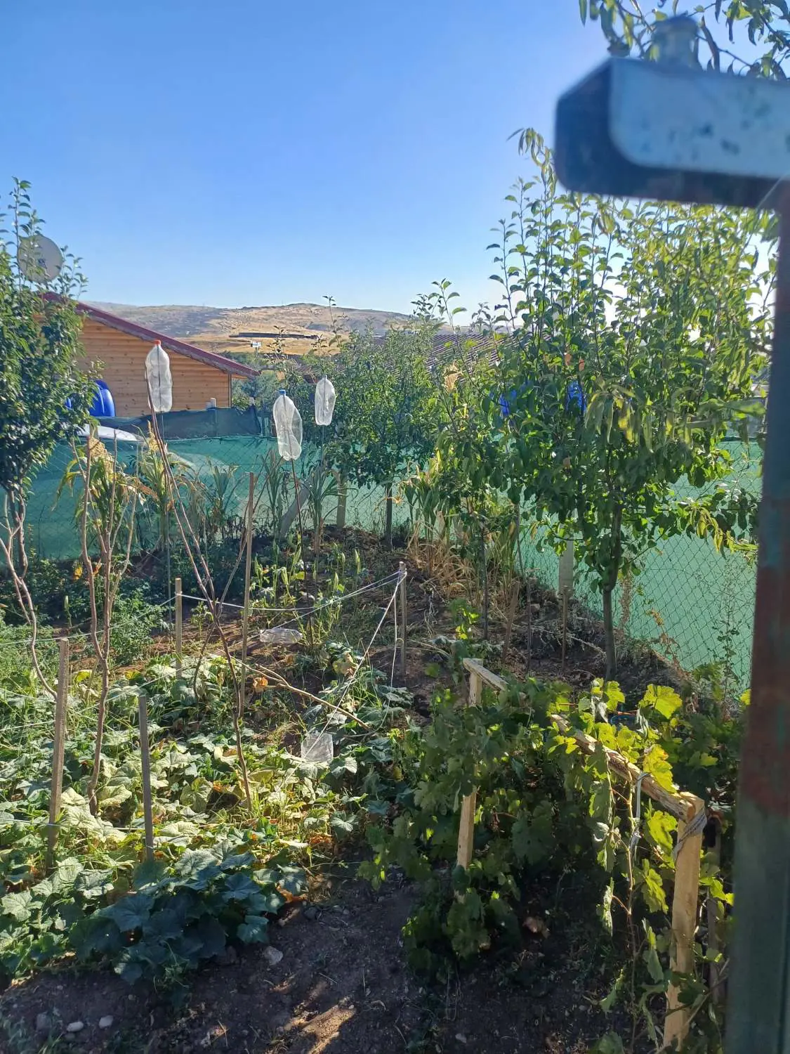Property image 21
