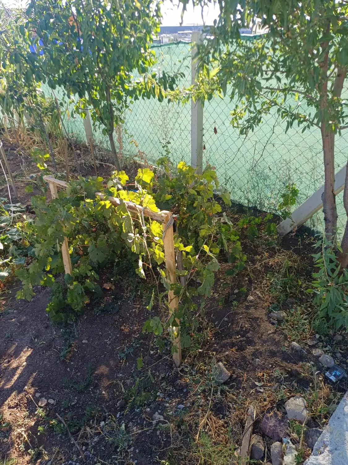 Property image 17