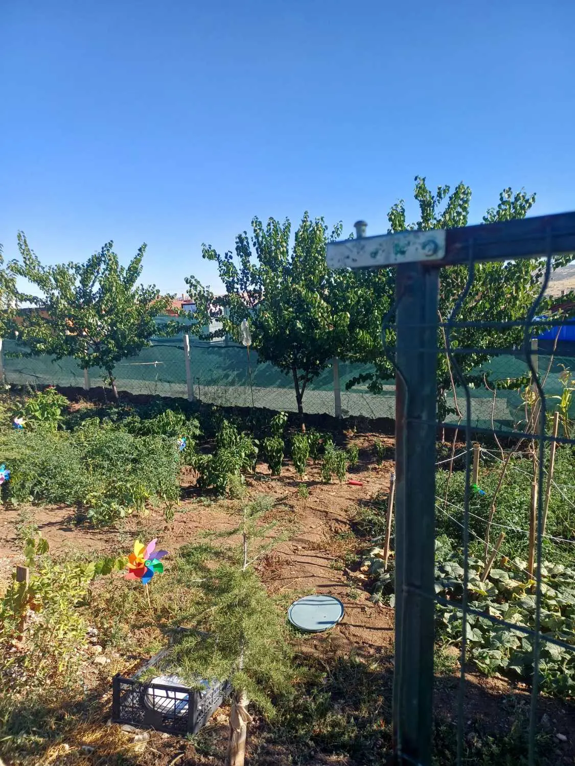 Property image 19