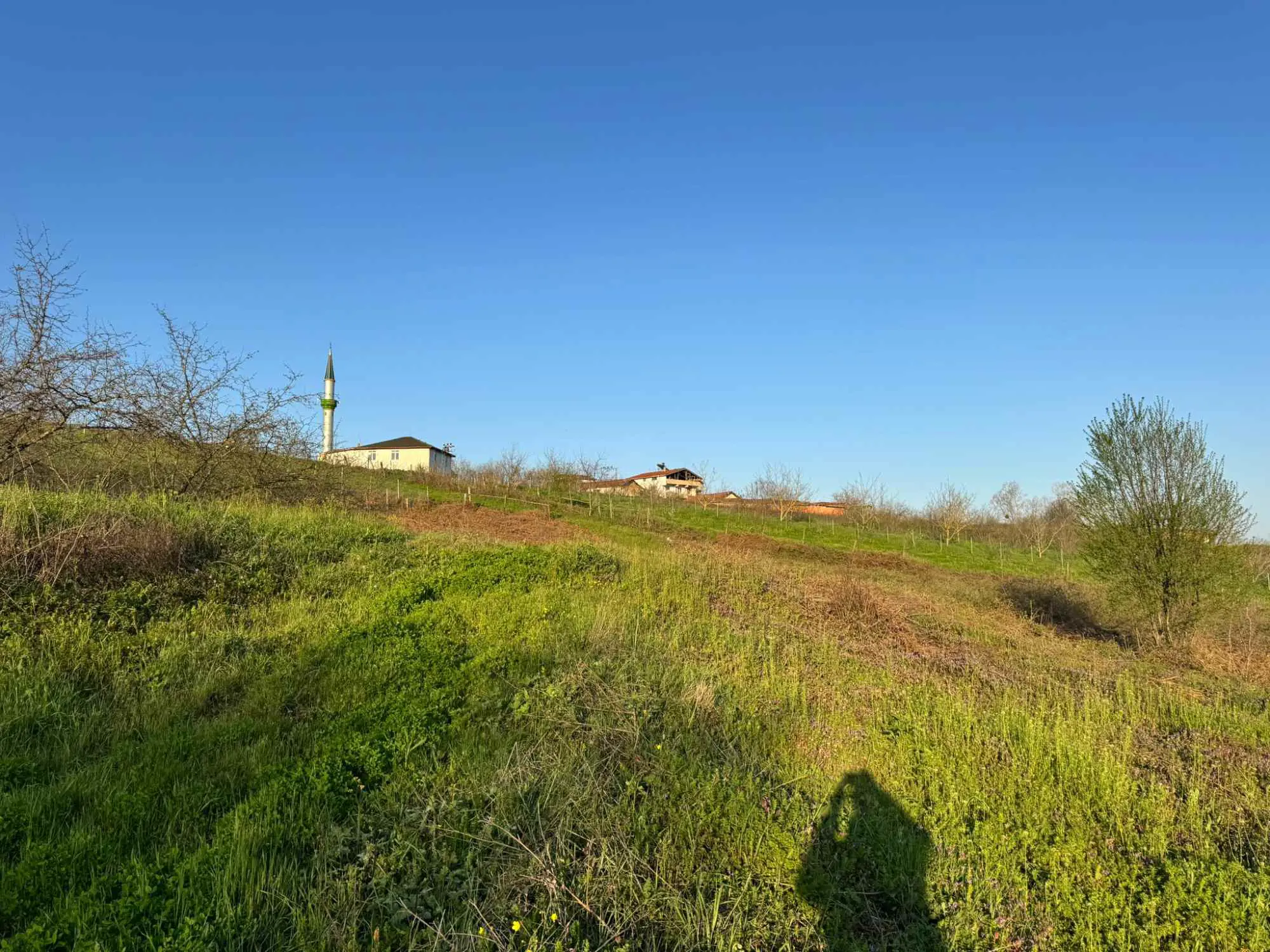 Property image 18