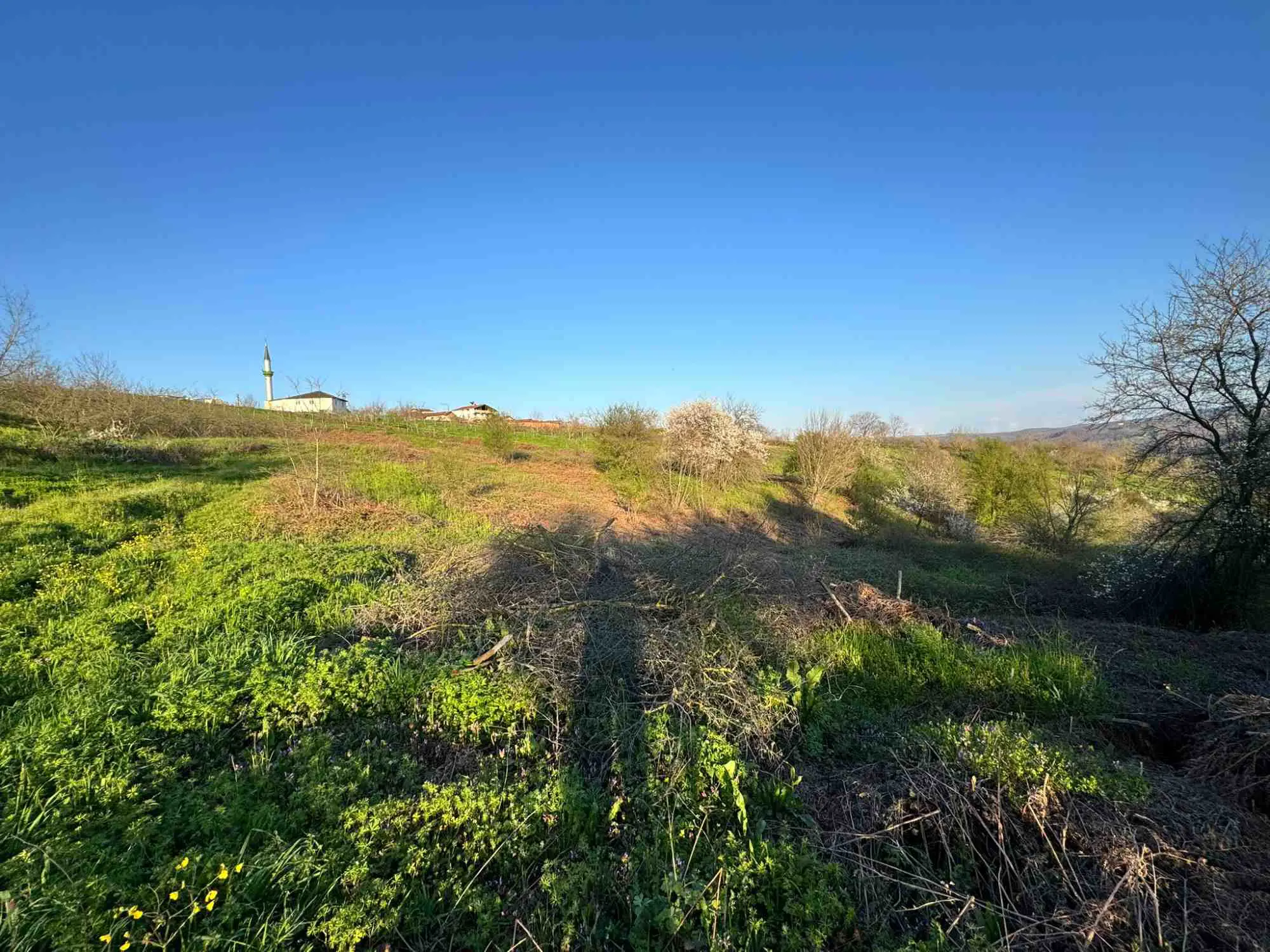 Property image 23
