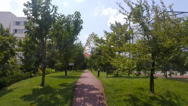 Property image 13