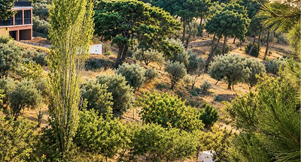 BORNOVA YAKAKÖY’DE 5.000 M² SATILIK TARLA | YOLA 60 M CEPHE