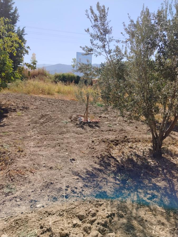 Remax Model Denizli'den Kaklık'ta Anayola Cepheli Arsa