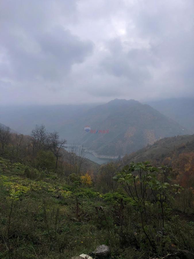 REMAX KUZEY MEHMET AY'DAN AYVACIK ARDIÇ KÖYÜNDE  51 DÖNÜM SATILIK TARLA VE FINDIK BAHÇESİ