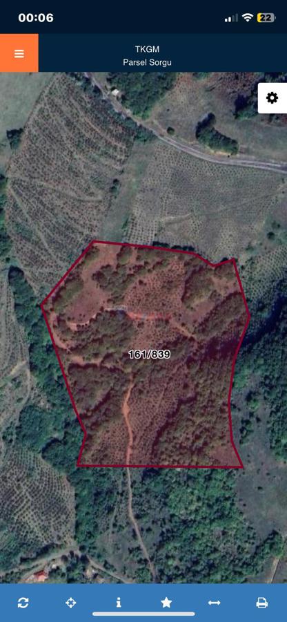 REMAX KUZEY MEHMET AY'DAN AYVACIK ARDIÇ KÖYÜNDE  51 DÖNÜM SATILIK TARLA VE FINDIK BAHÇESİ