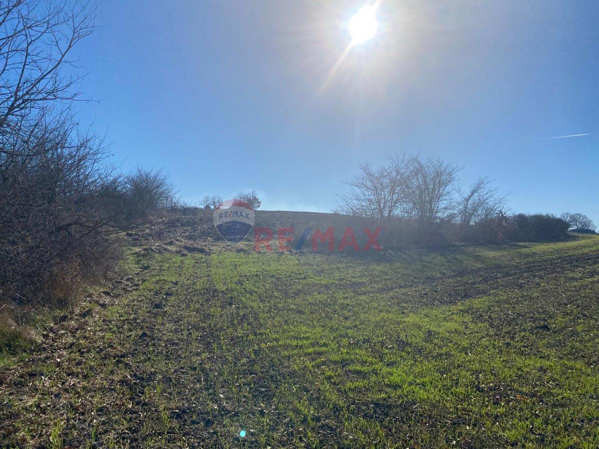 REMAX ANI 'DAN  SARAY BÜYÜKYONCALI 'DA KONUT İMARLI SATILIK ARSA