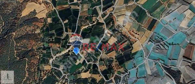 MANİSA SARIGÖL ALEMŞAHLIDA 313 M2 TARLA