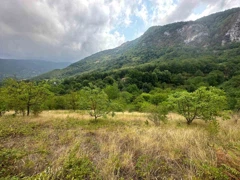 BAŞİSKELE SERİNDEREDE, İMARLI, HEMEN EV YAPILABİLİR SATILIK 3526M² ARSA