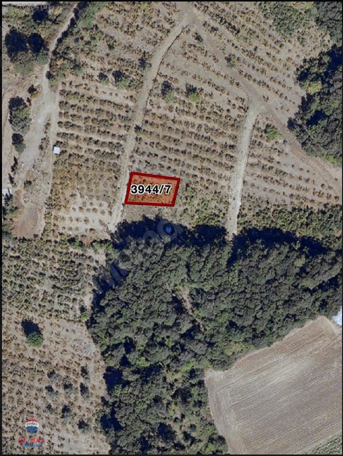 TAFLAN' DA 4 KAT İMARLI ARSA