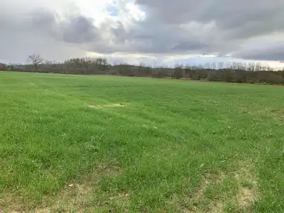SAKARYA İLİ KAYNARCA İLÇESİ TURNALI İŞARET MAHALLESİ'NDE 16.716 METRE² SATILIK TARLA
